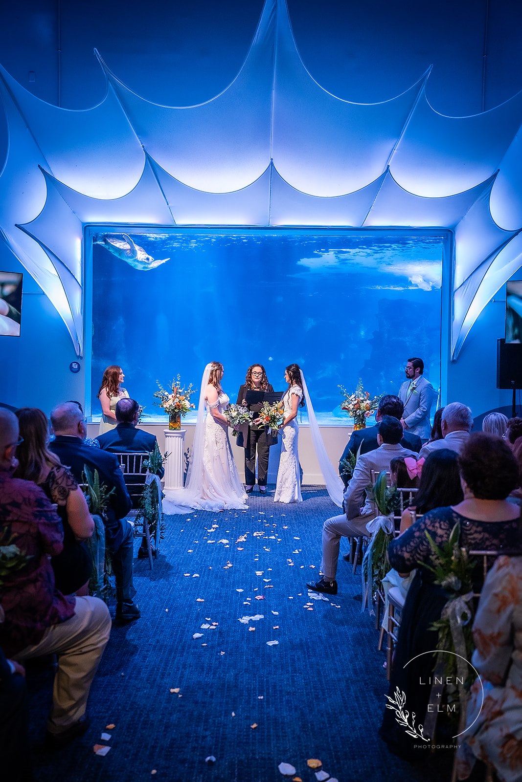 Two brides getting married Newport Aquarium Cincinnati Kentucky lbgtq wedding photography