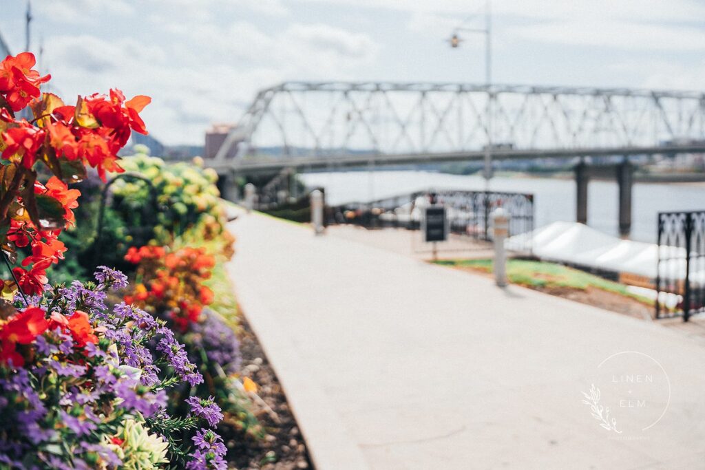 Newport Aquarium view of Cincinnati lbgtq wedding photography