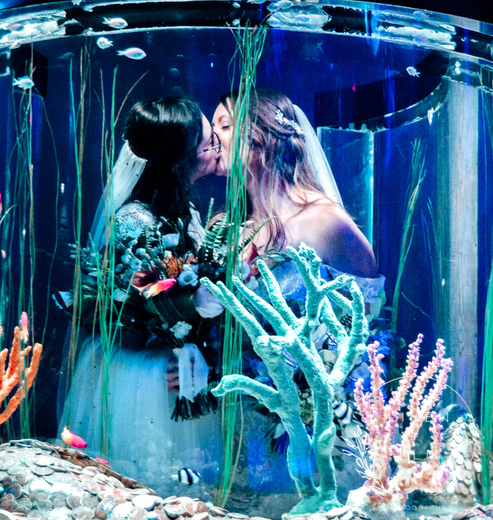 Two brides kissing through aquarium glass Cincinnati lbgtq wedding photography
