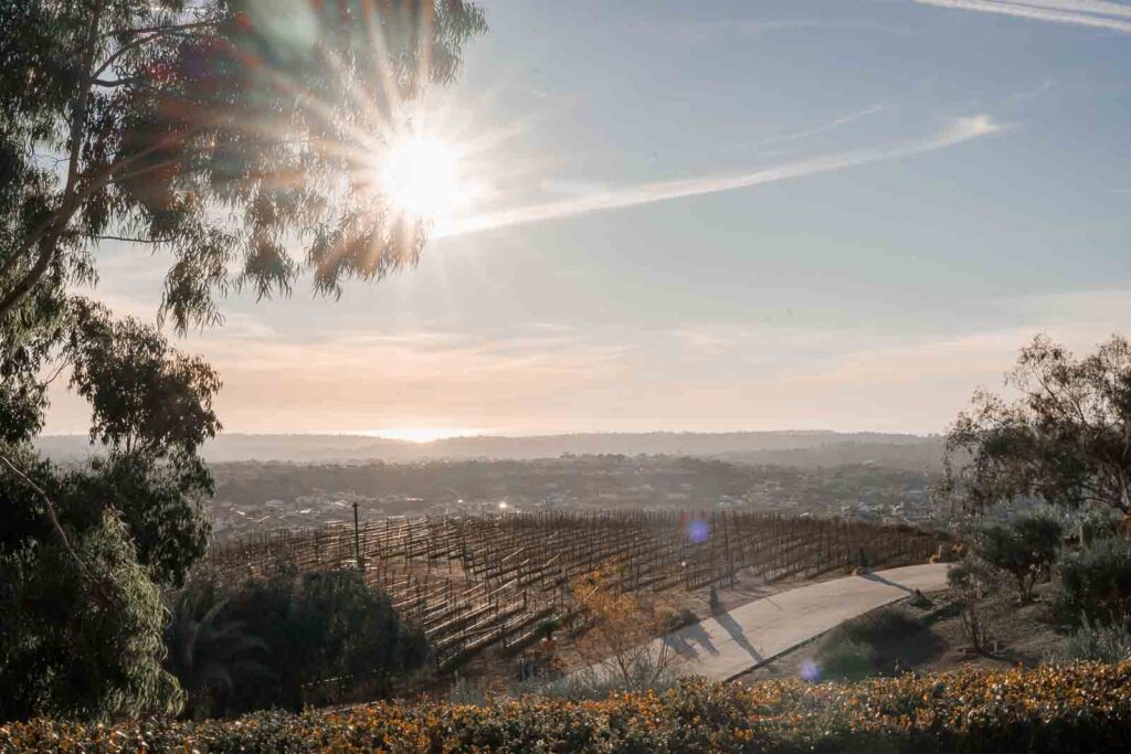 California Private Estate Wedding View Of Pacific Cincinnati Wedding Photographer Linen &Amp; Elm Fine Art Luxury Wedding California Wedding Photographer Florida Wedding Photographer